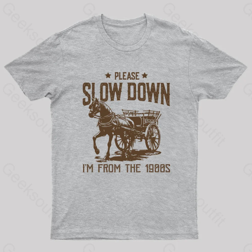 Please Slow Down I‘m From The 1900s T-Shirt Business