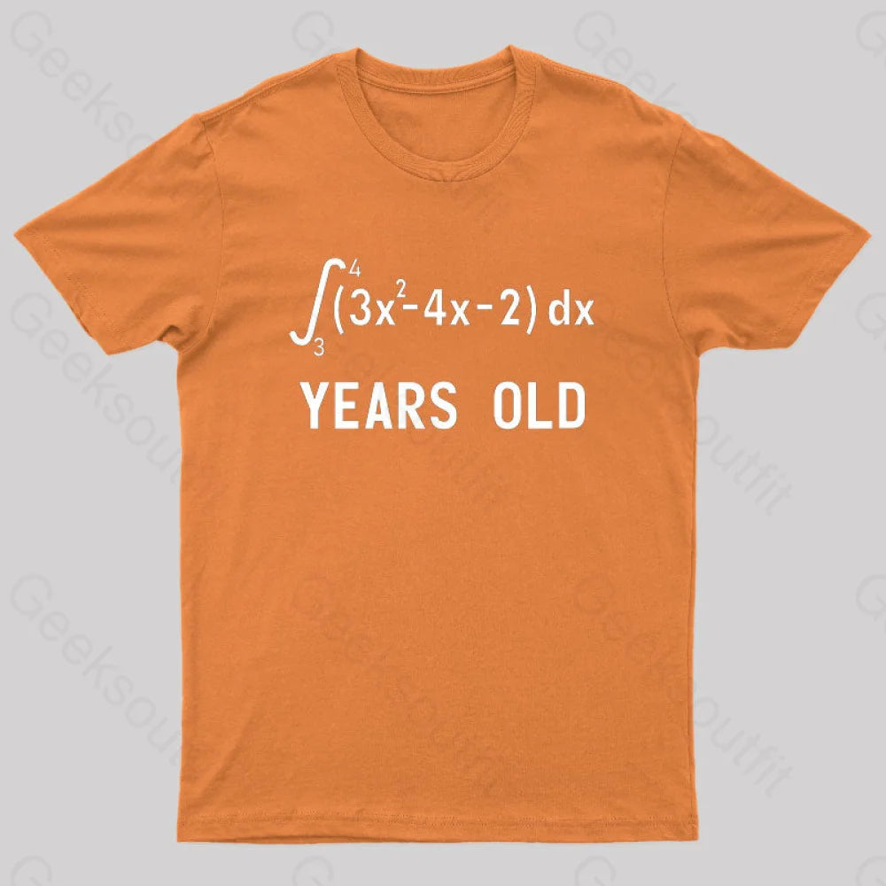 21 Years Old Funny Integral Calculus Nerd T-Shirt Hip Women's Urban